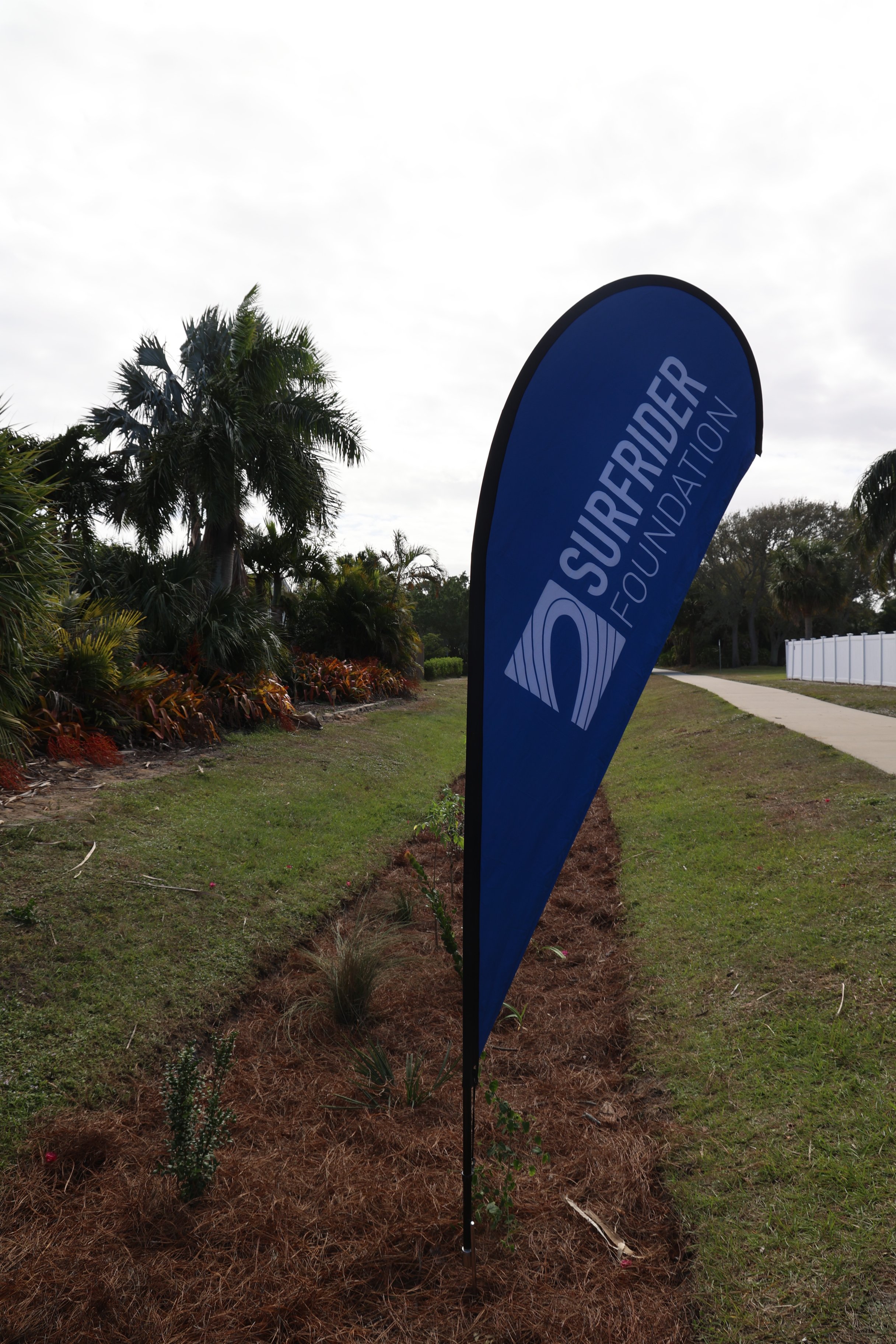 bioswale planting space coast 2024