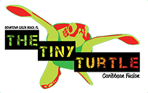 Tiny turtle logo space coast florida