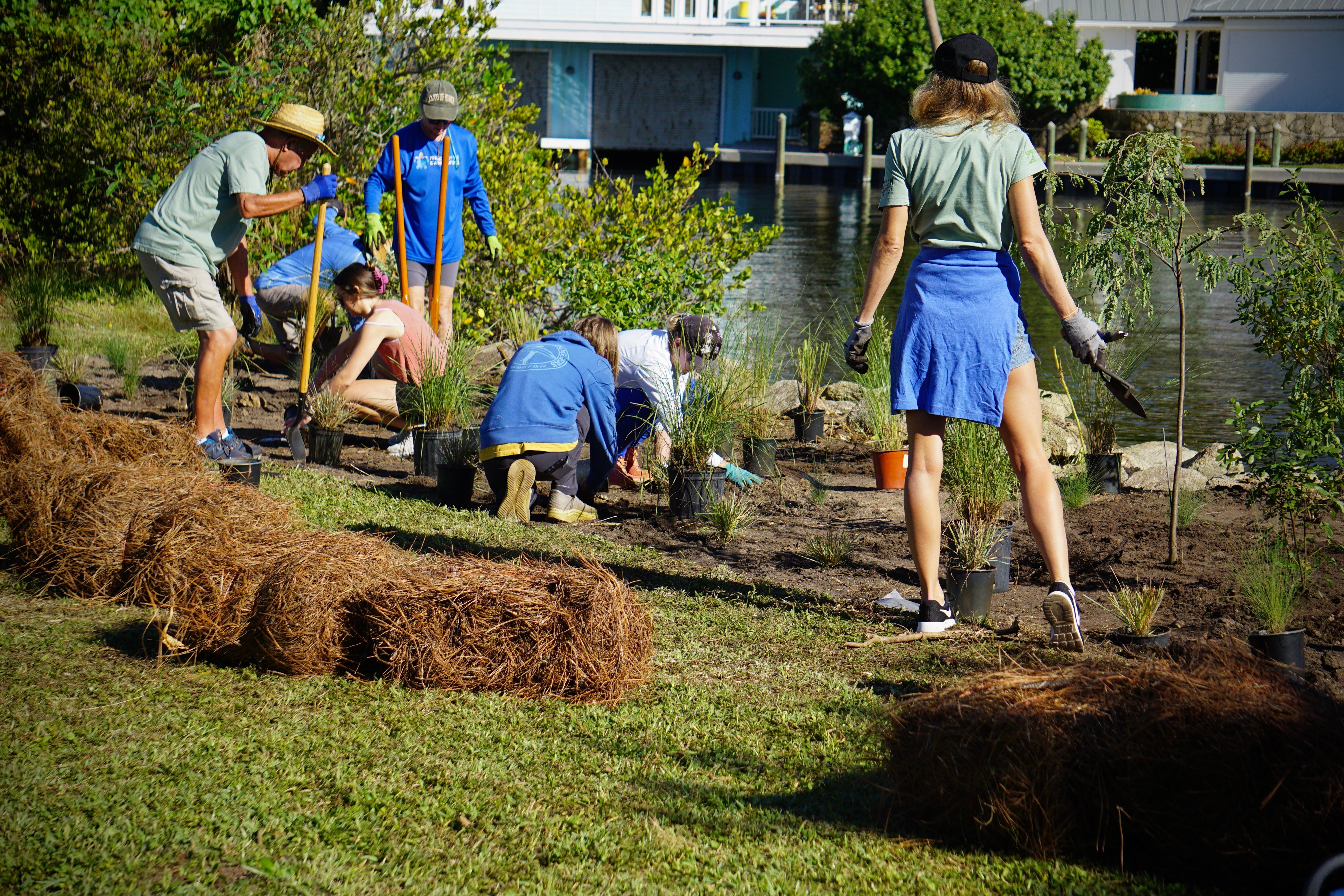 bioswale planting space coast. Photo by zaperzon