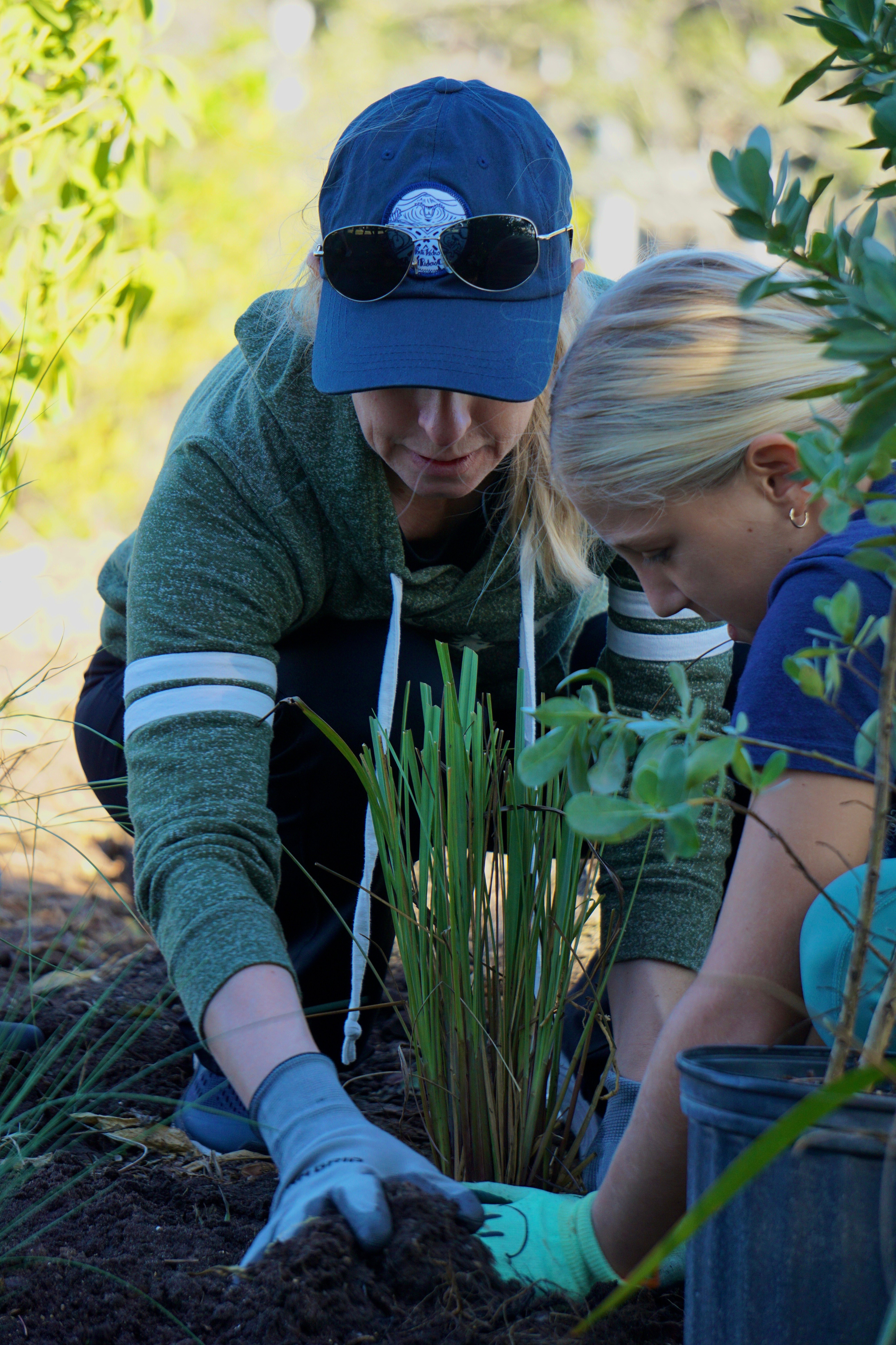 buffer garden planting space coast. photo by Zaperzon