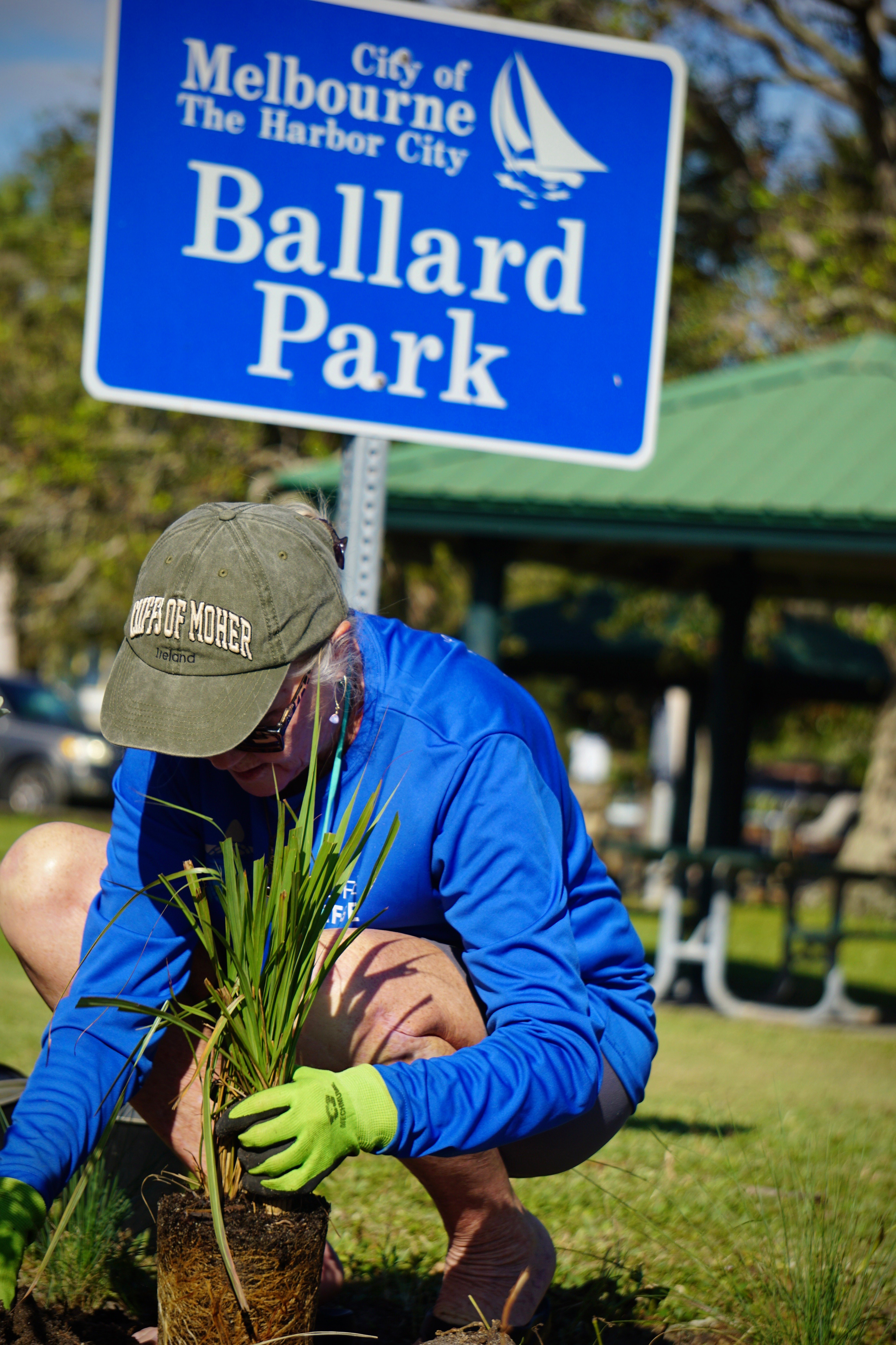 bioswale planting space coast. Photo by zaperzon