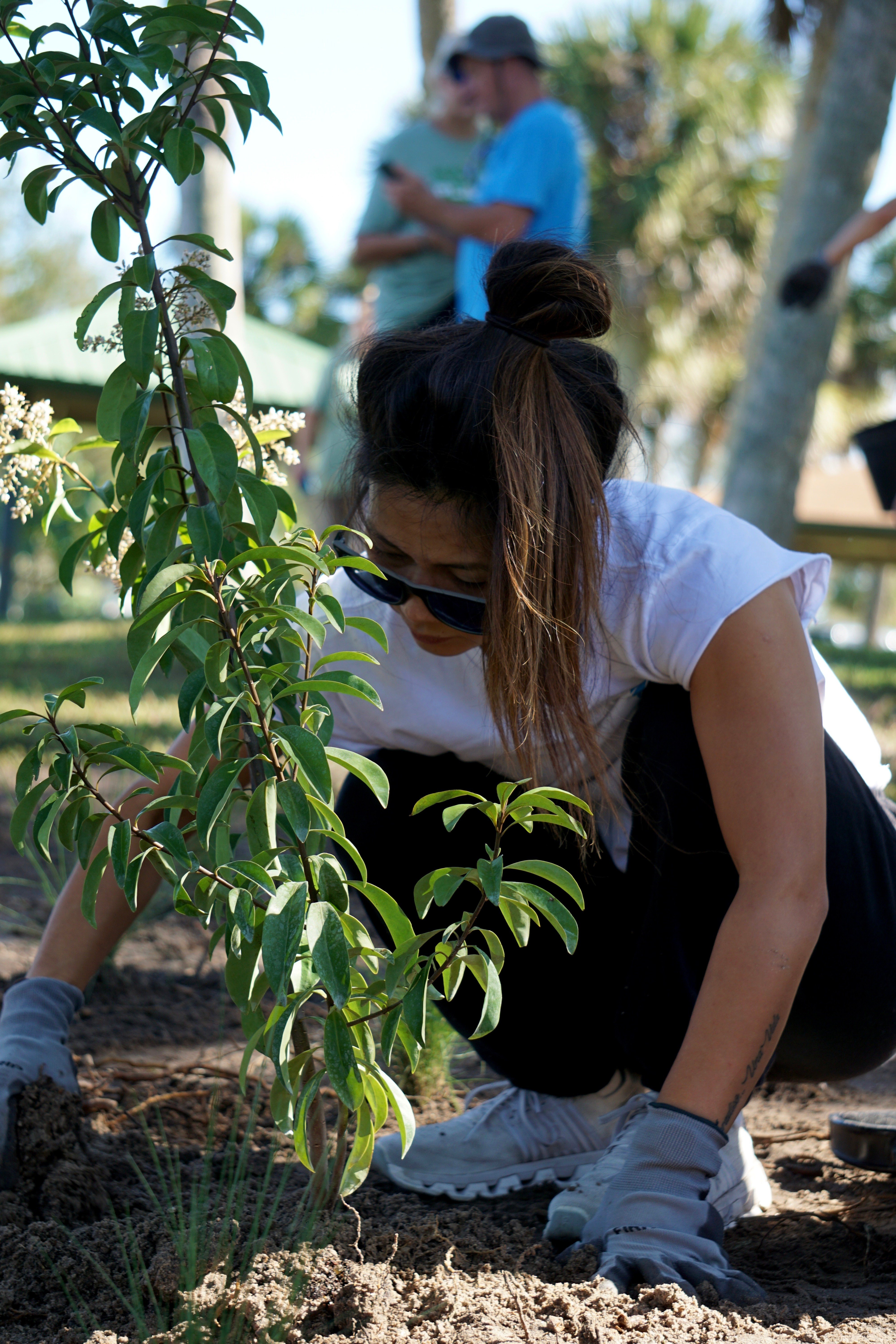 bioswale planting space coast. Photo by zaperzon