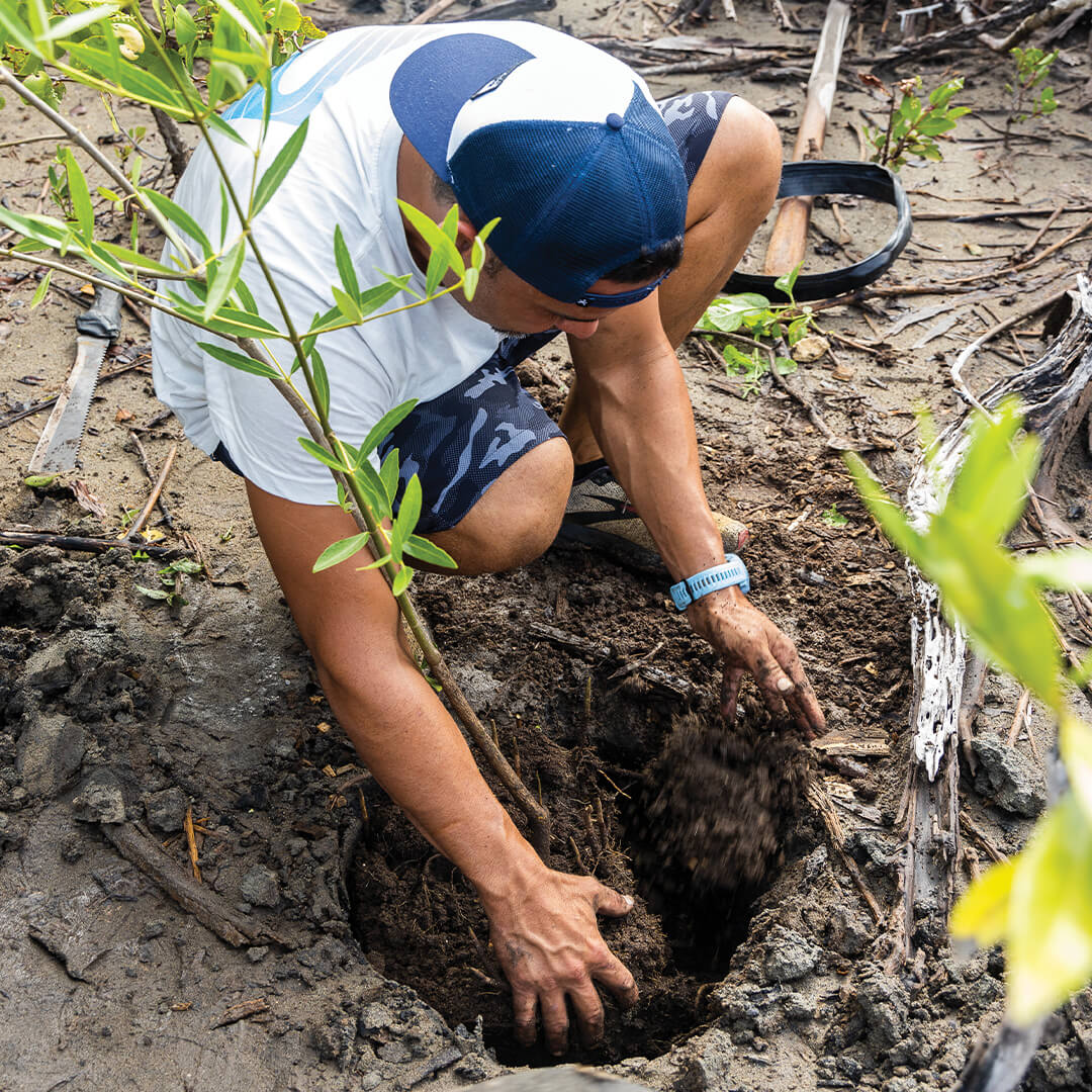 NBS_Mangrove-Planting NBS_Mangrove-Planting